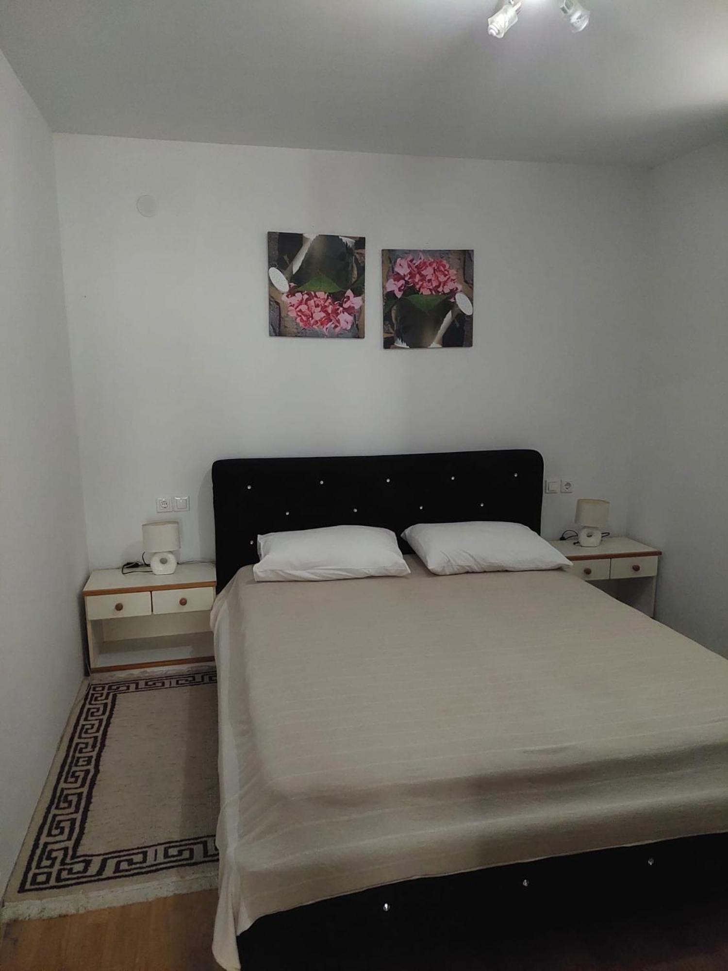 Apartments Ivana Diklo Zadar Zewnętrze zdjęcie