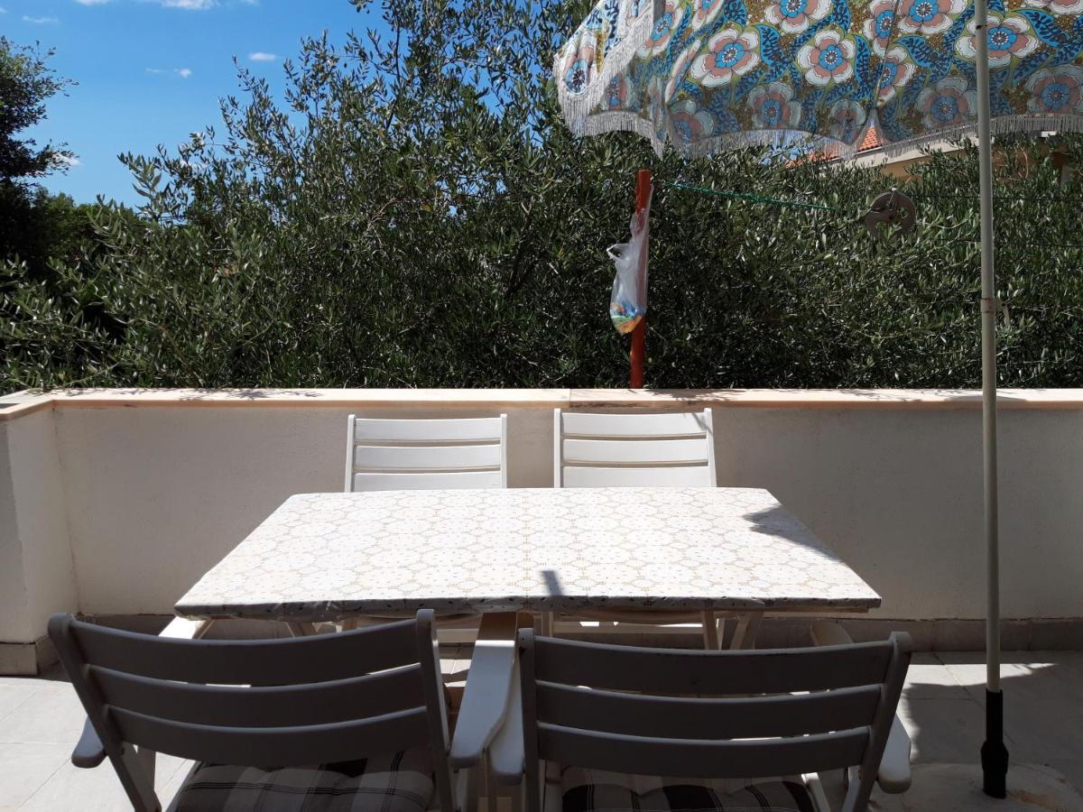 Apartments Ivana Diklo Zadar Zewnętrze zdjęcie